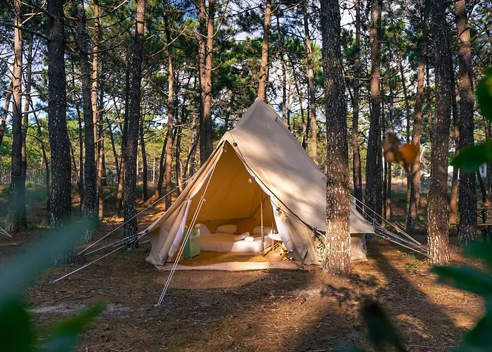 Kampaoh Sao Pedro De Moel *